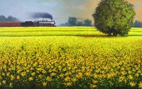 Abdul Jabbar, Passing Field, 36 x 60 Inch, Oil on Canvas, Landscape Painting, AC-ABJ-026